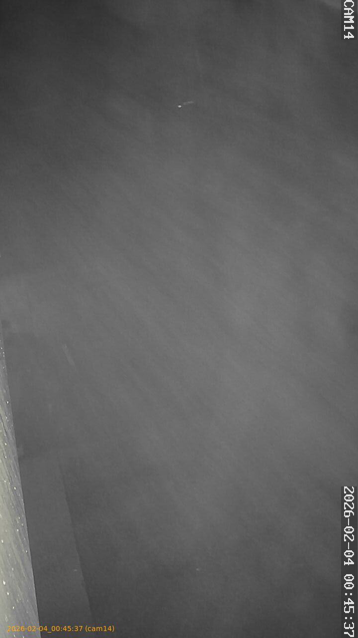 thumbnail_20260204004537