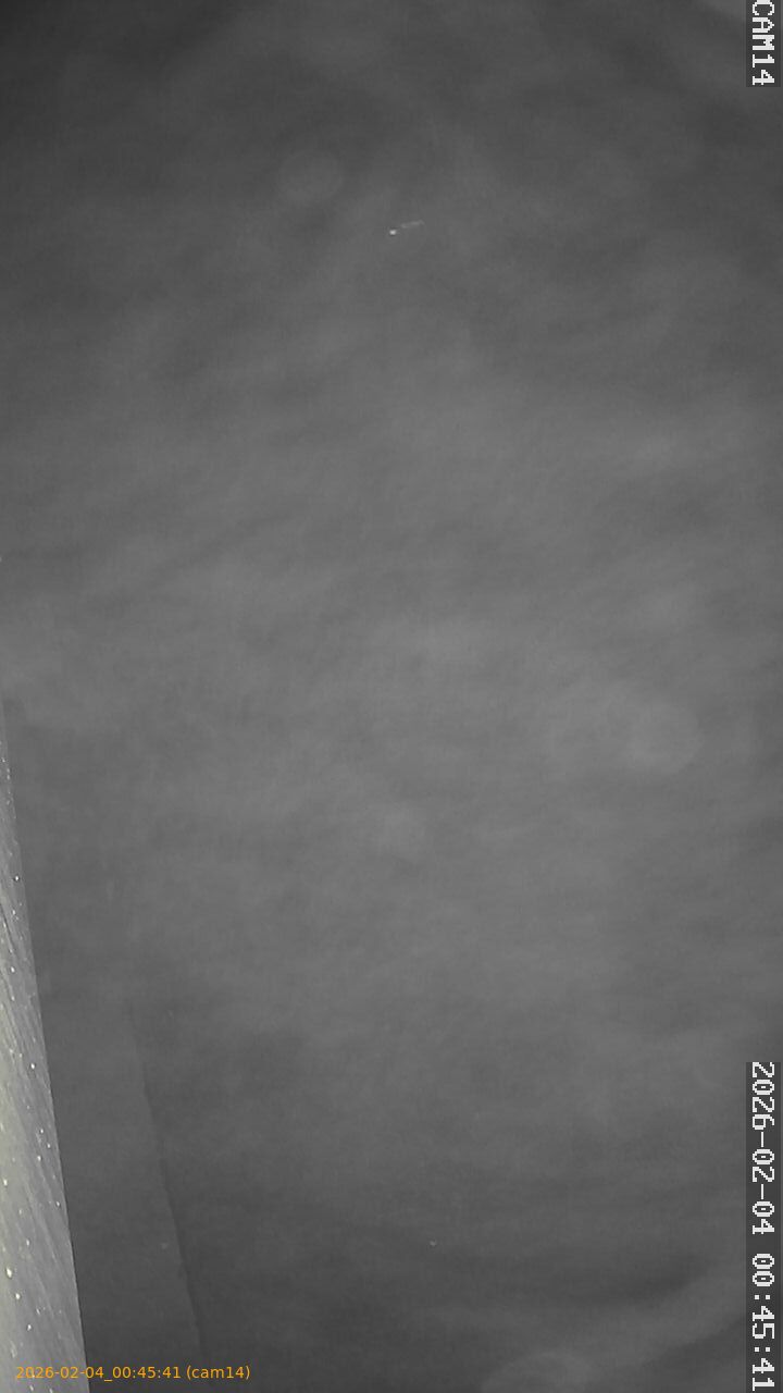 thumbnail_20260204004541