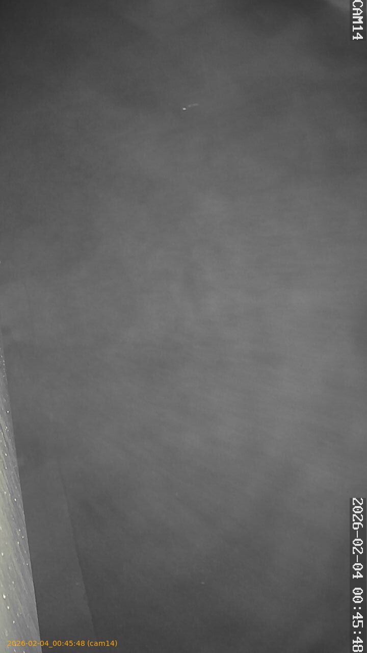 thumbnail_20260204004548