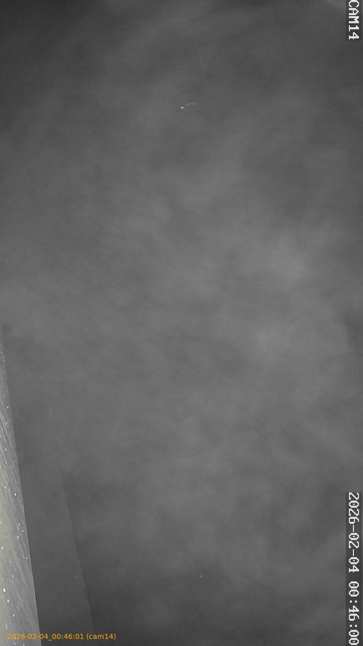 thumbnail_20260204004601