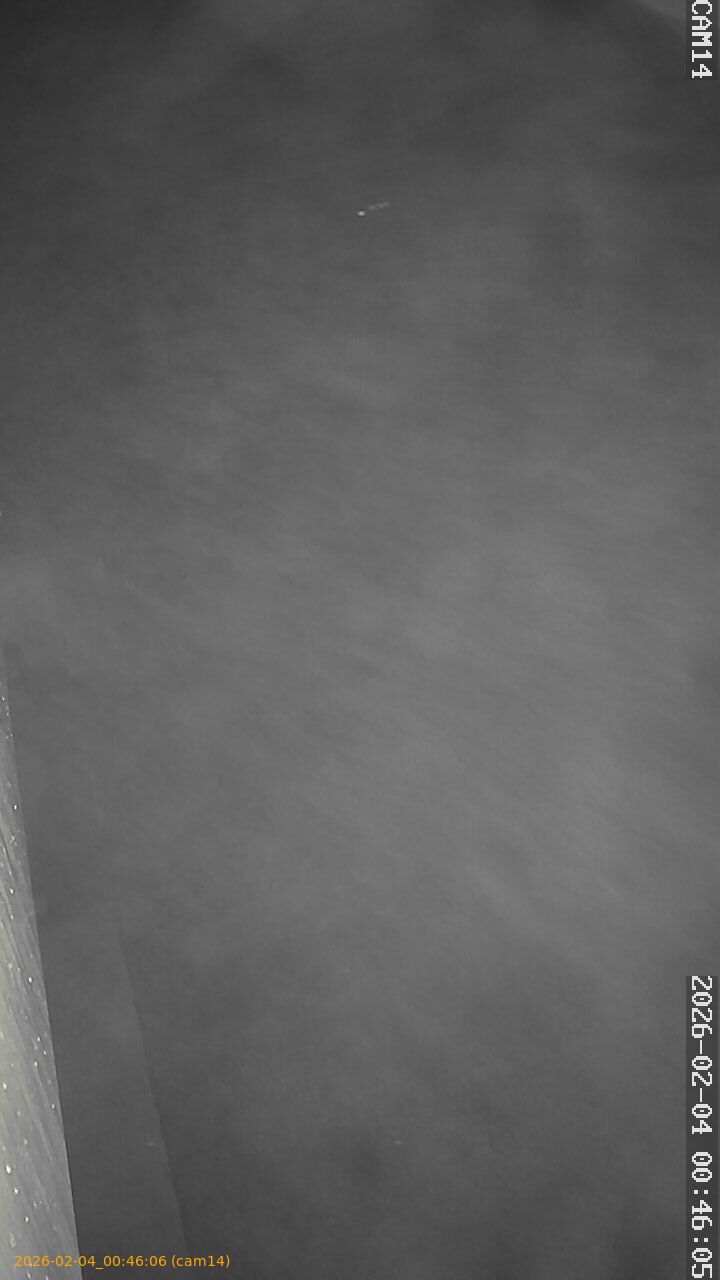 thumbnail_20260204004606