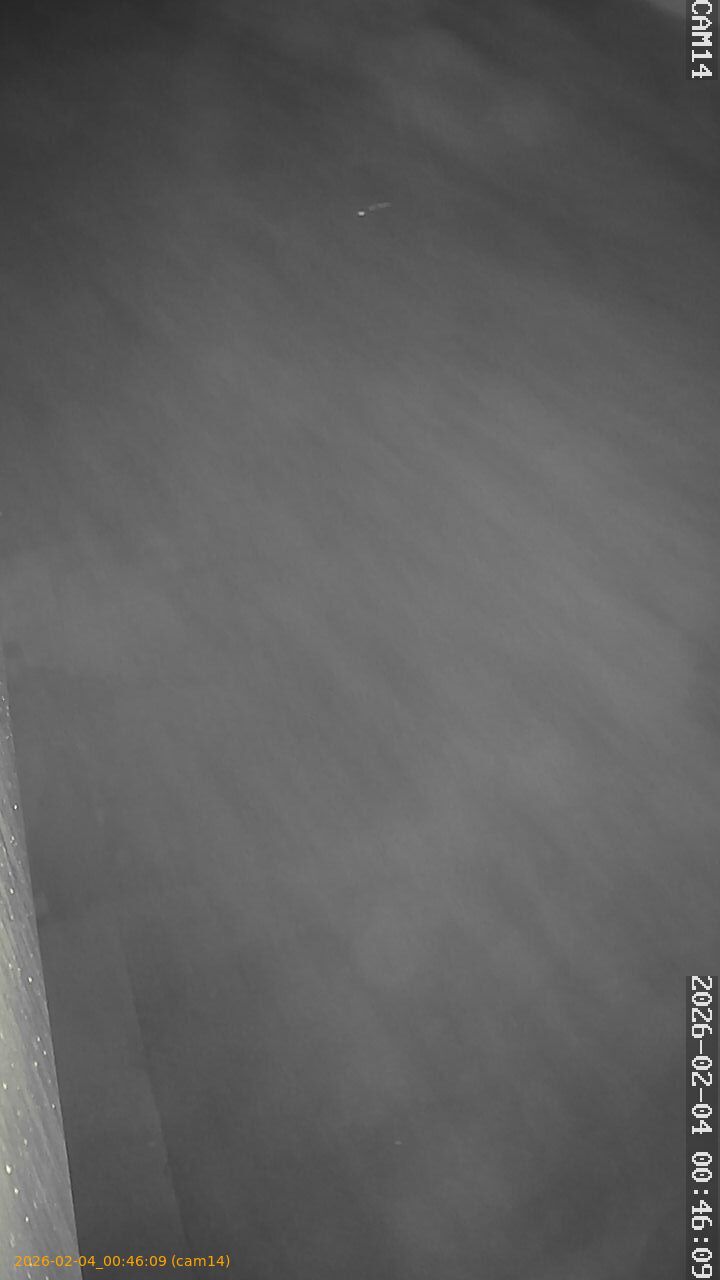 thumbnail_20260204004609