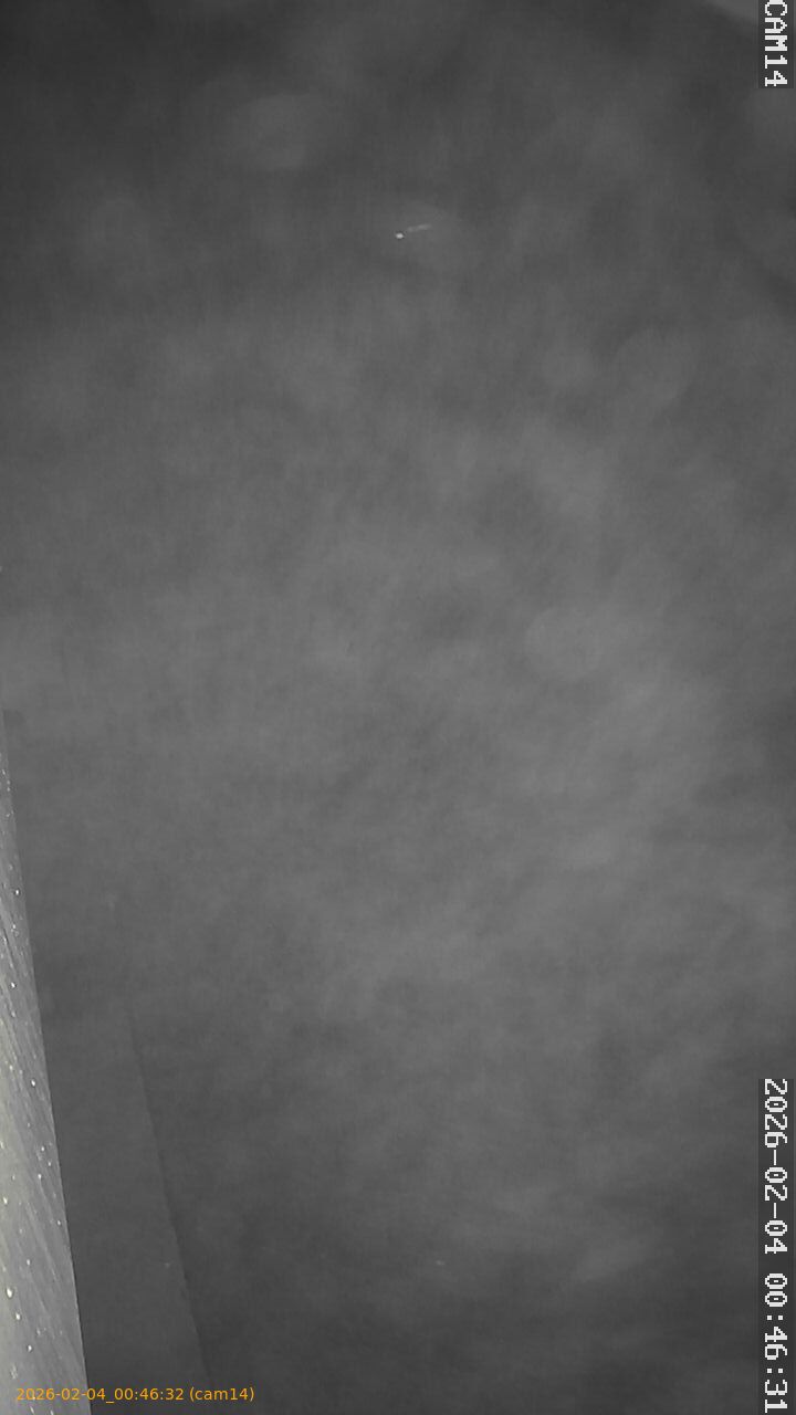 thumbnail_20260204004632