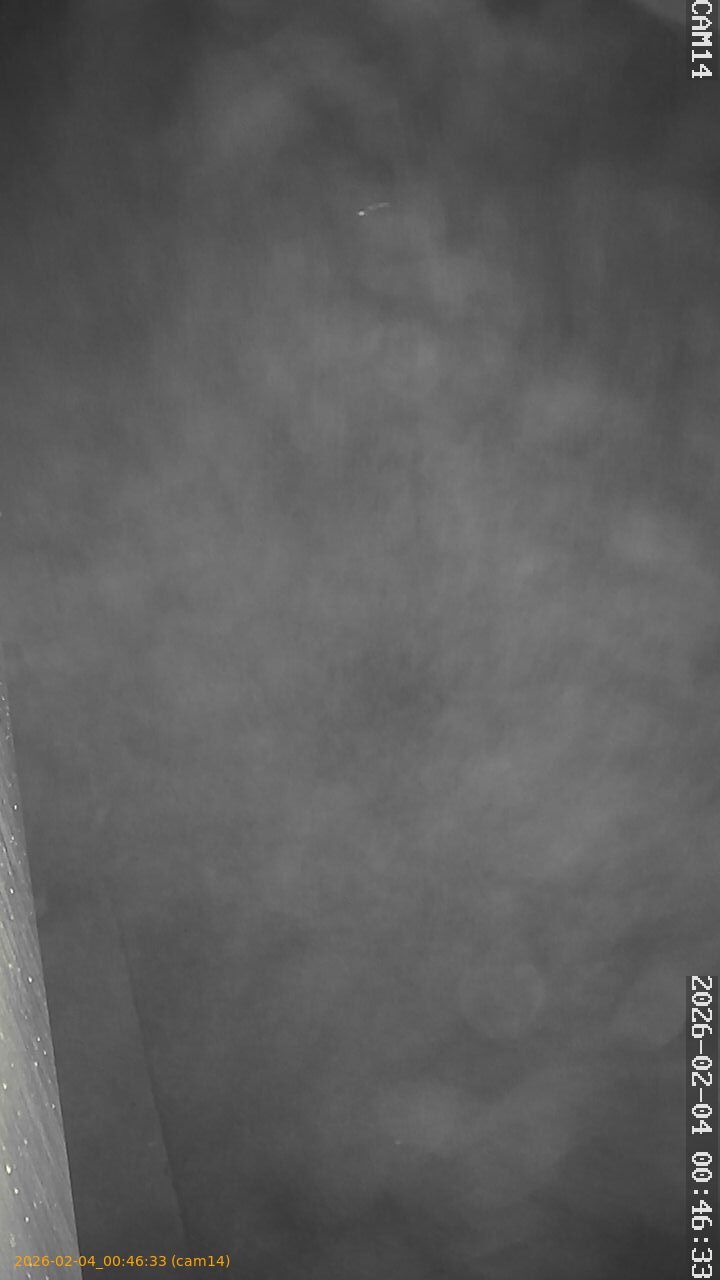 thumbnail_20260204004633