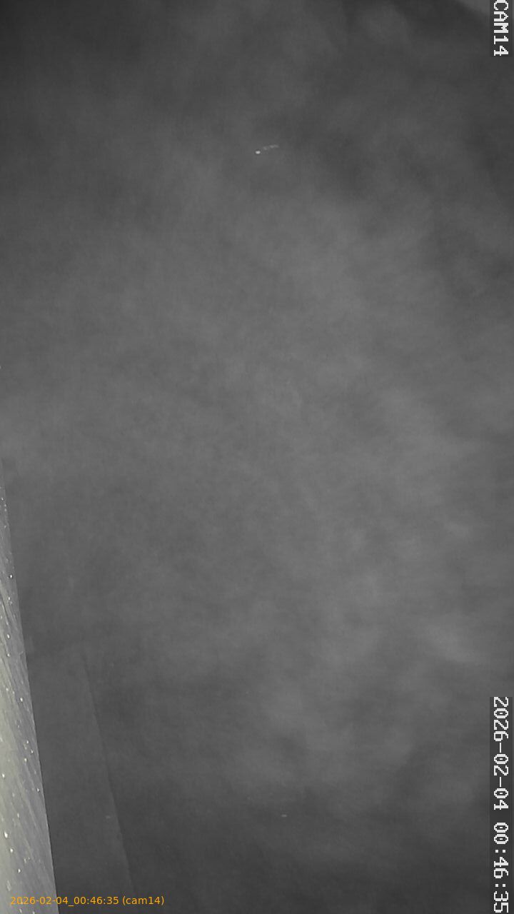 thumbnail_20260204004635