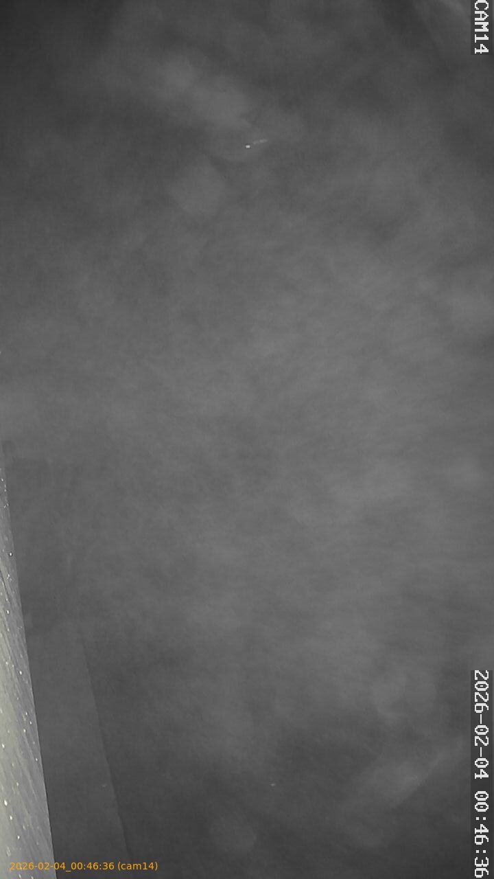 thumbnail_20260204004636