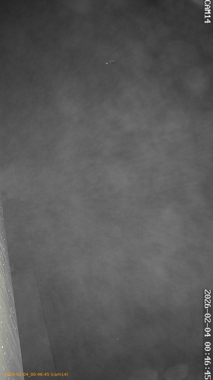 thumbnail_20260204004645