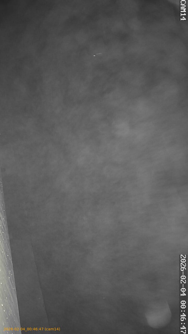 thumbnail_20260204004647