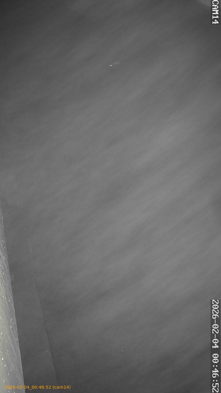 thumbnail_20260204004652