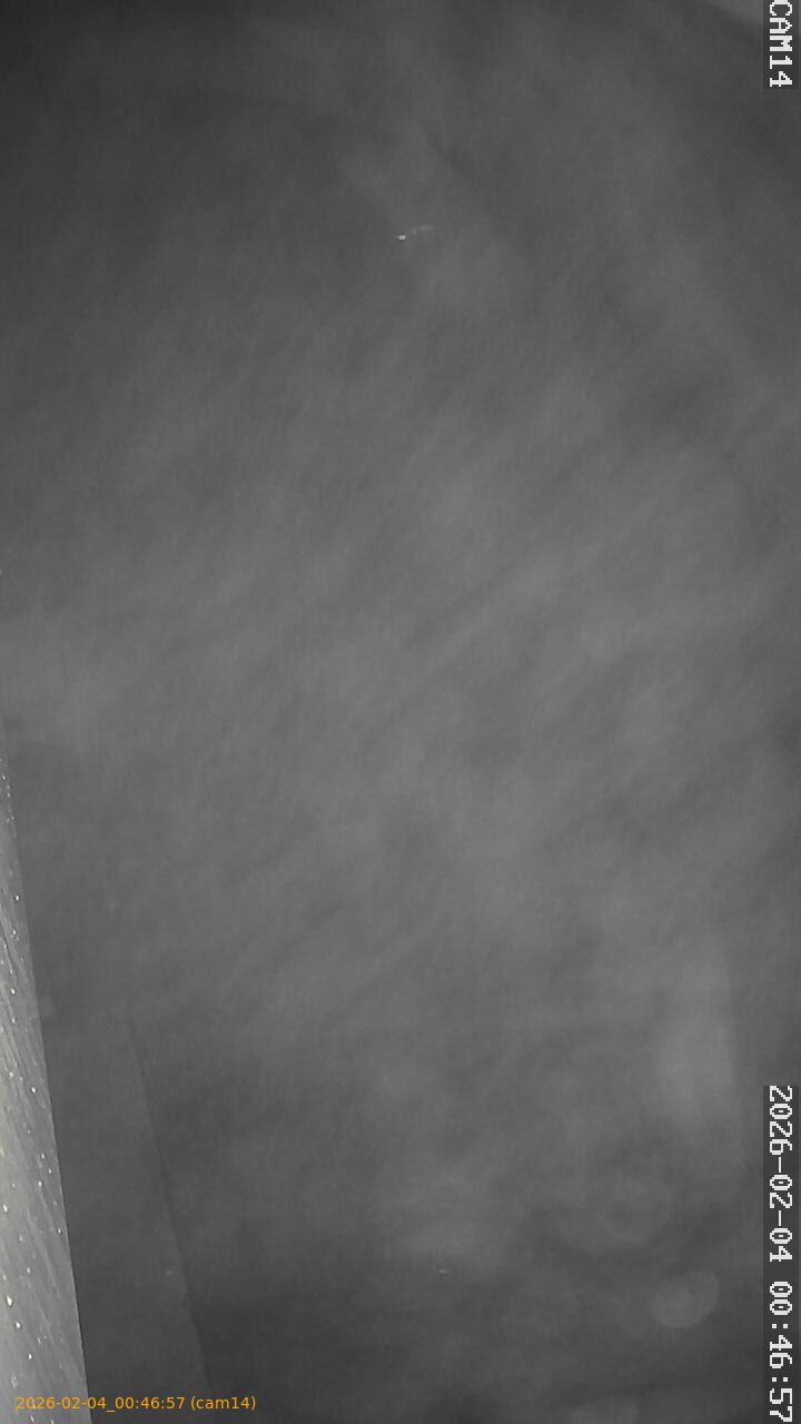 thumbnail_20260204004657