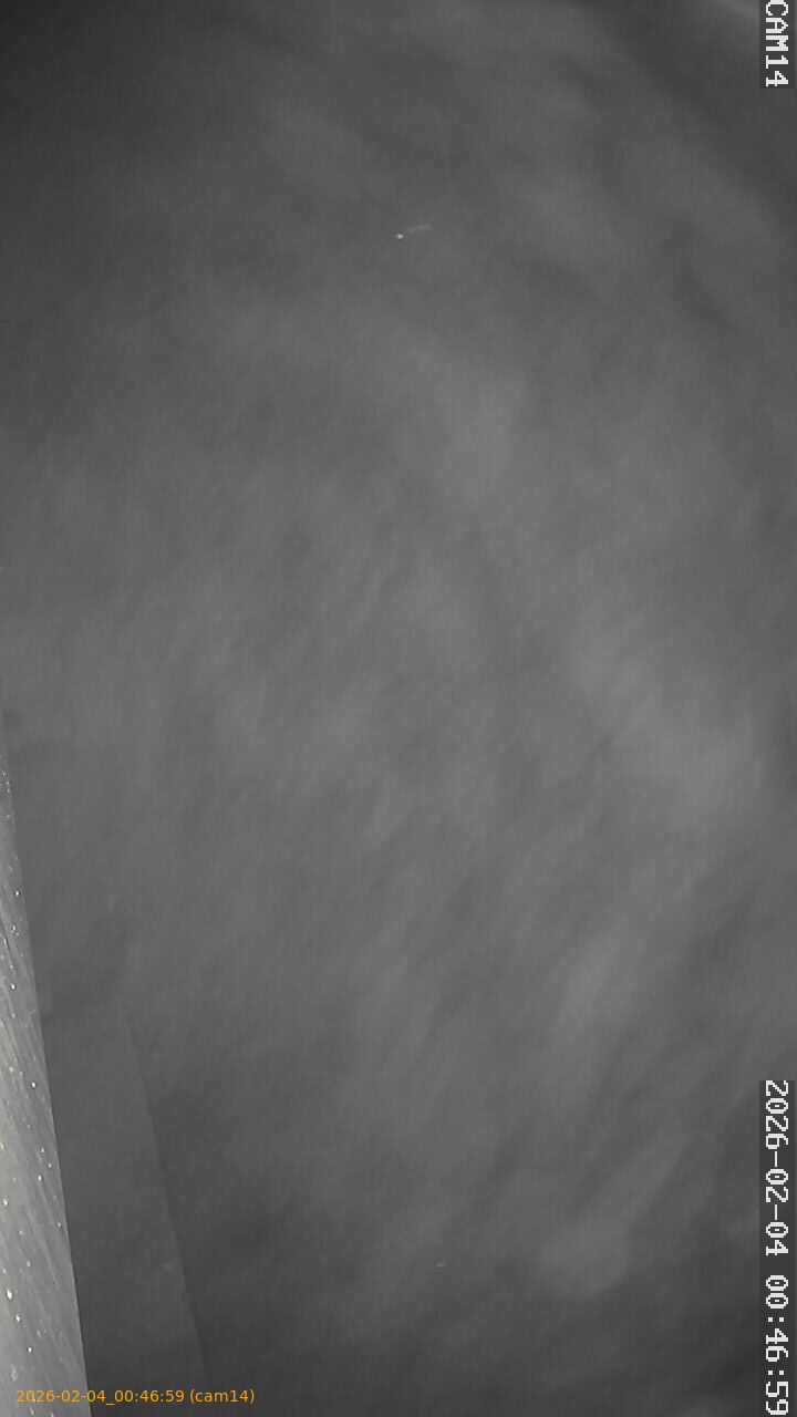 thumbnail_20260204004659