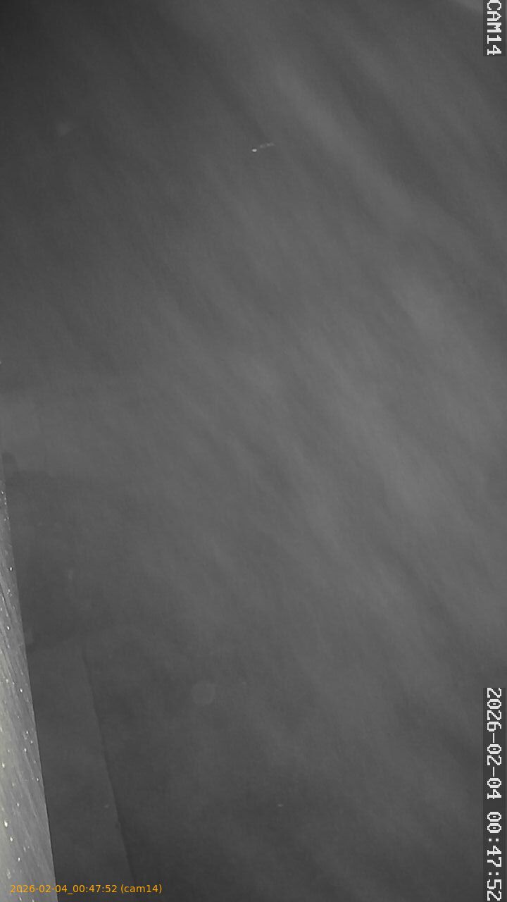 thumbnail_20260204004752