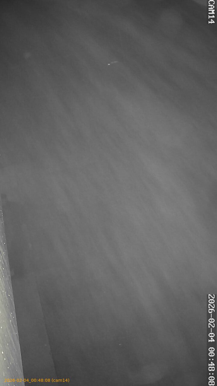 thumbnail_20260204004808