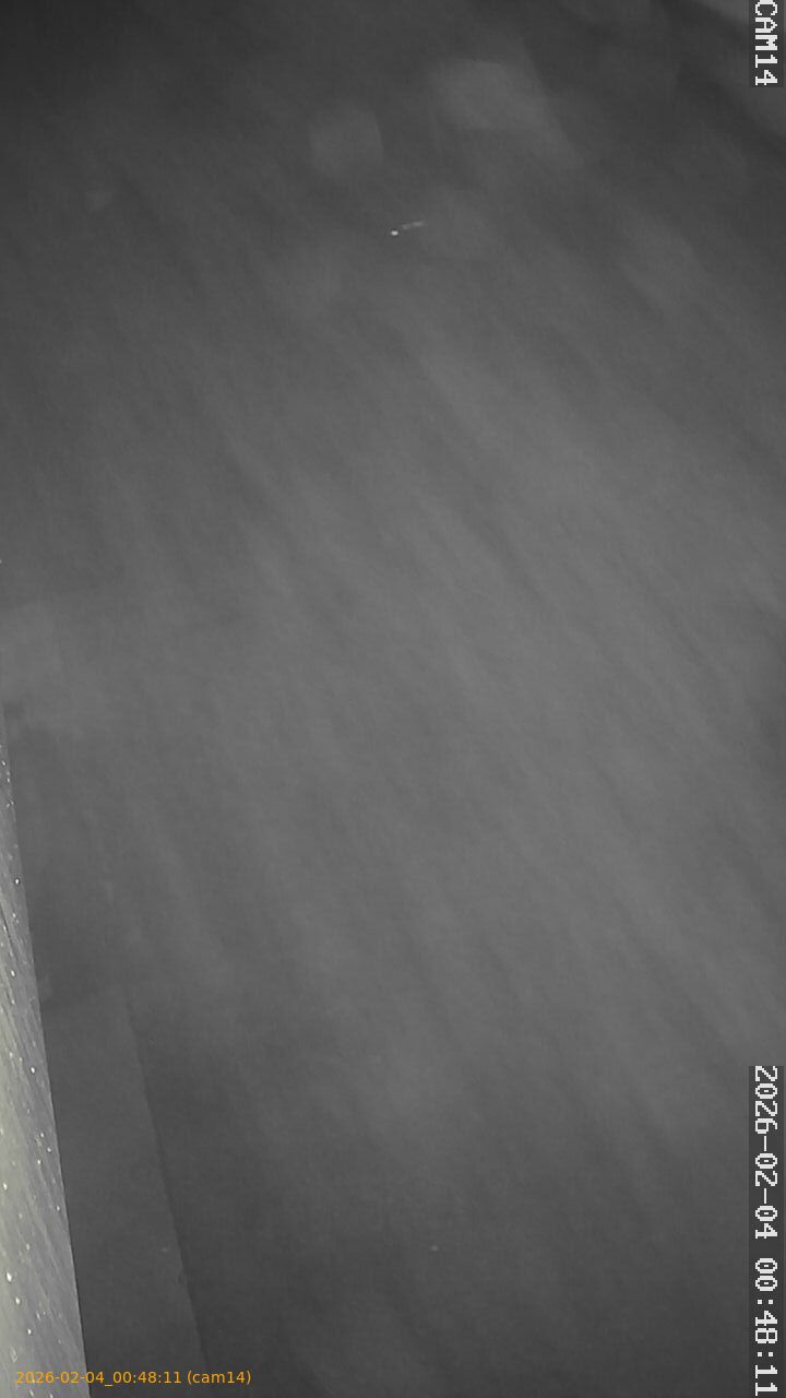 thumbnail_20260204004811