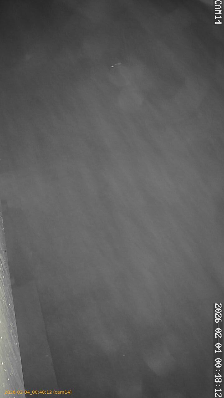 thumbnail_20260204004812