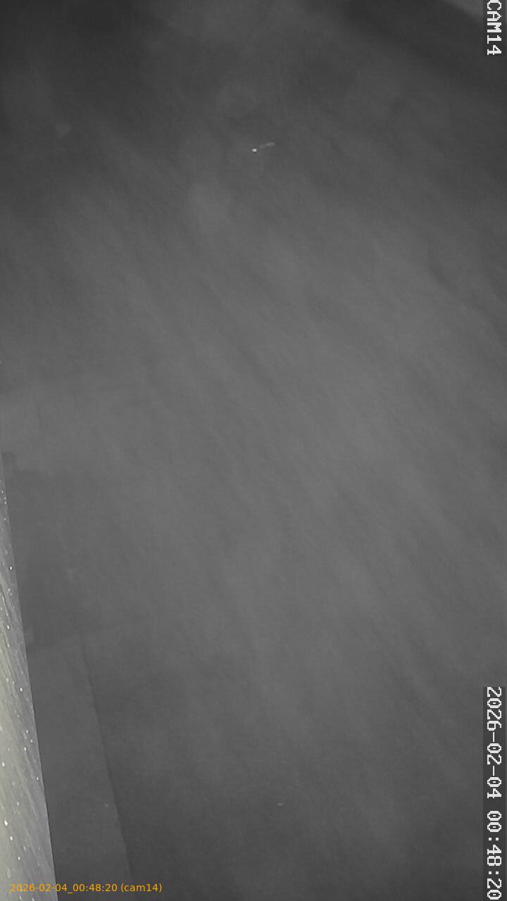 thumbnail_20260204004820