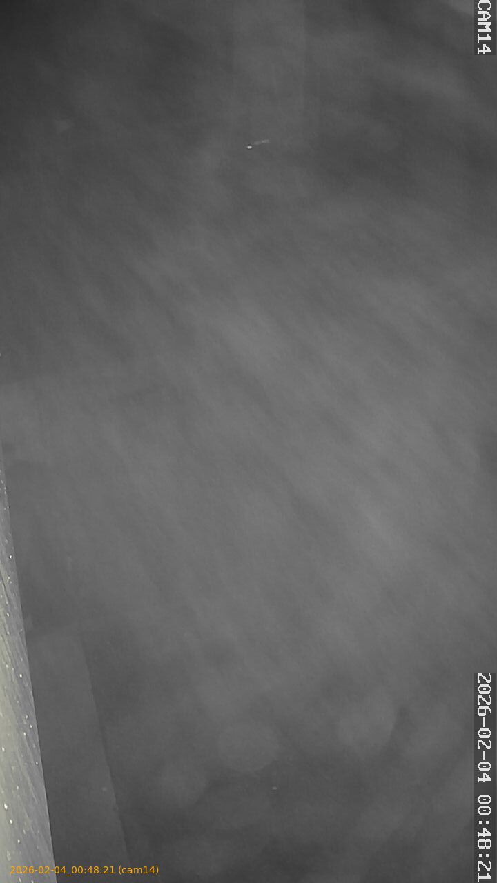 thumbnail_20260204004821