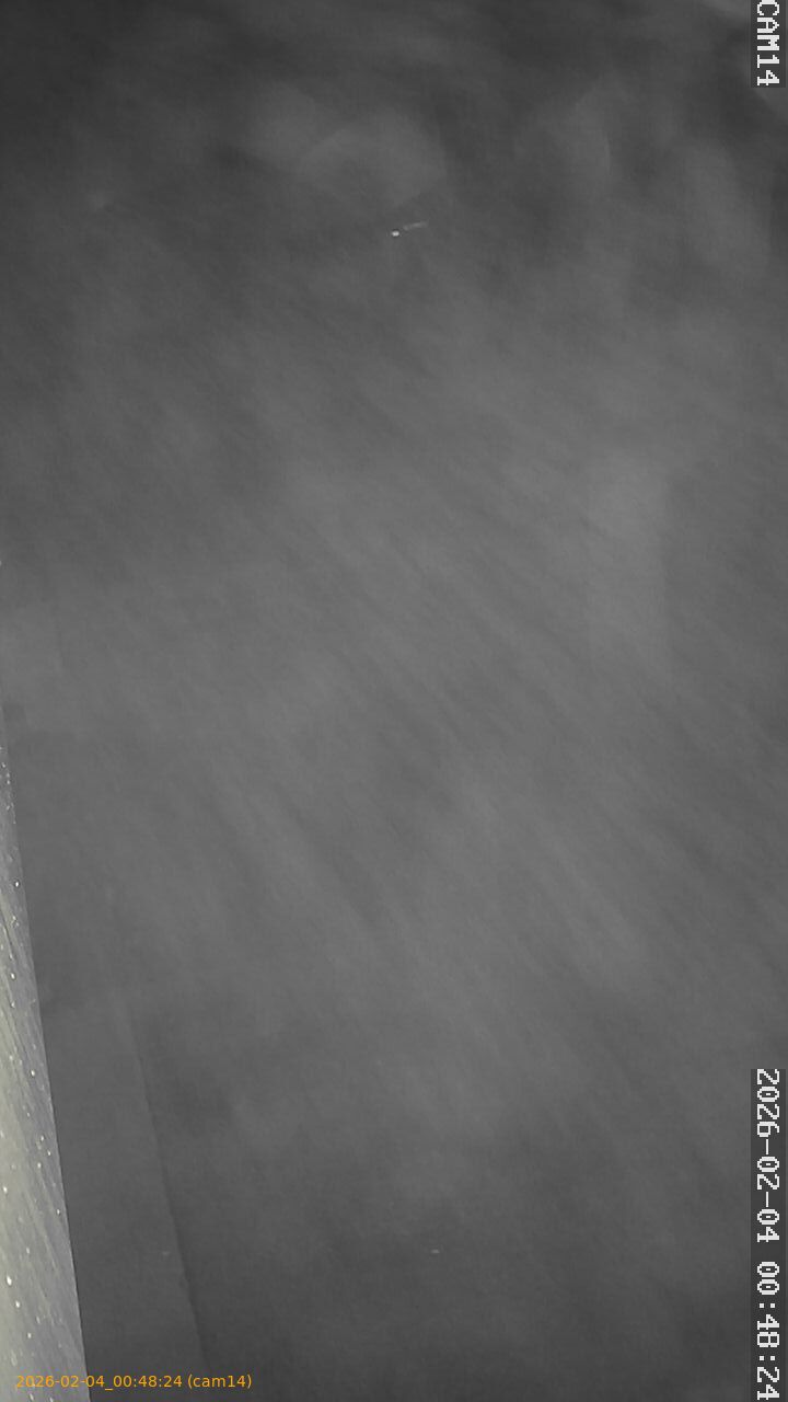 thumbnail_20260204004824