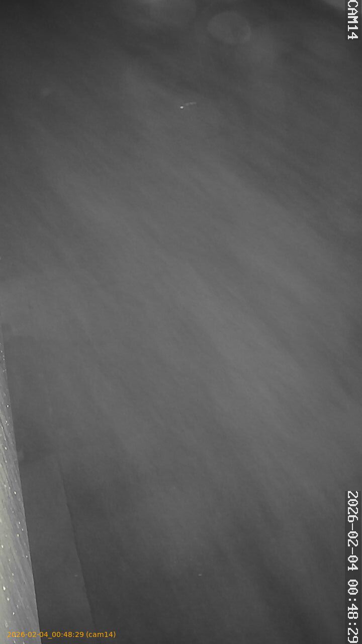 thumbnail_20260204004829