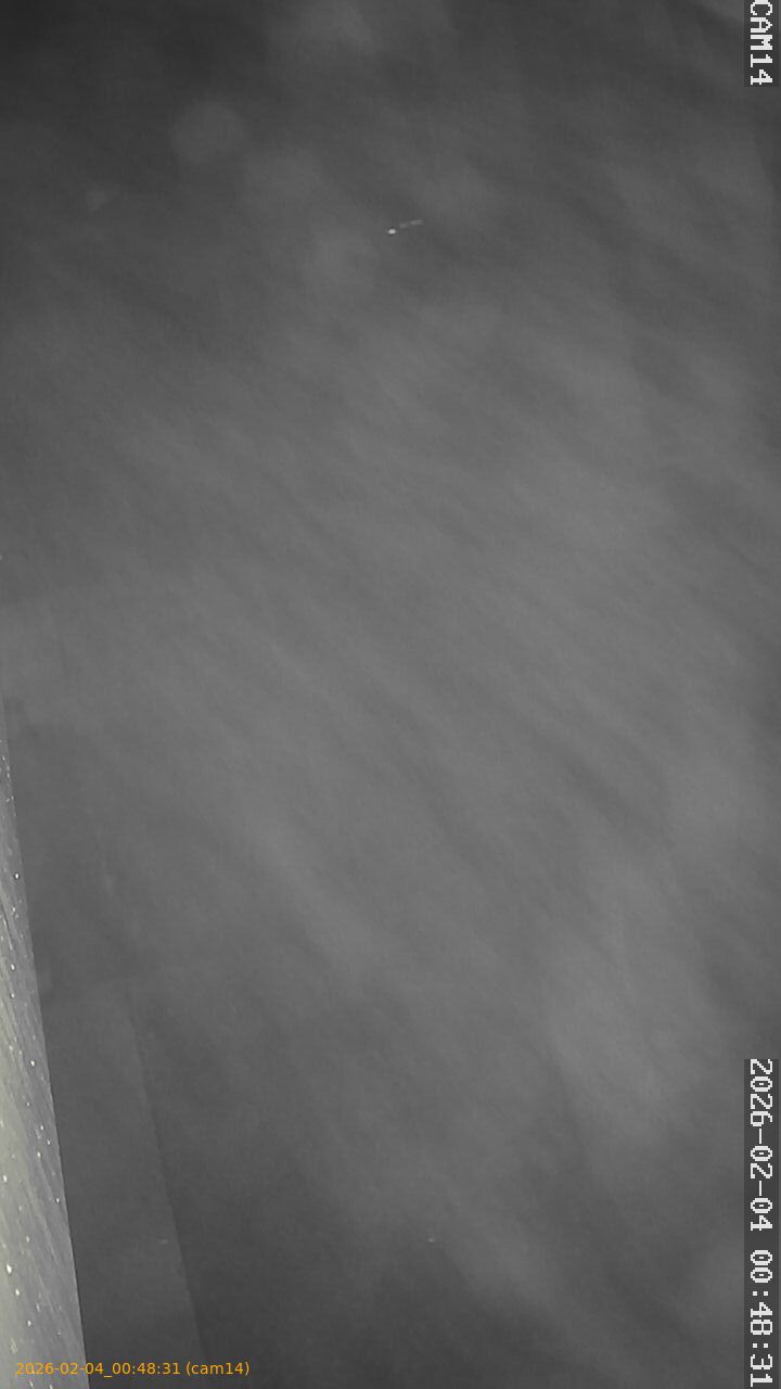 thumbnail_20260204004831