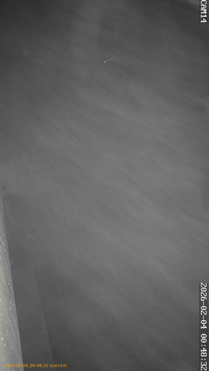 thumbnail_20260204004832