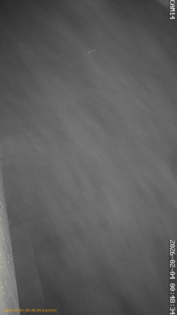 thumbnail_20260204004834