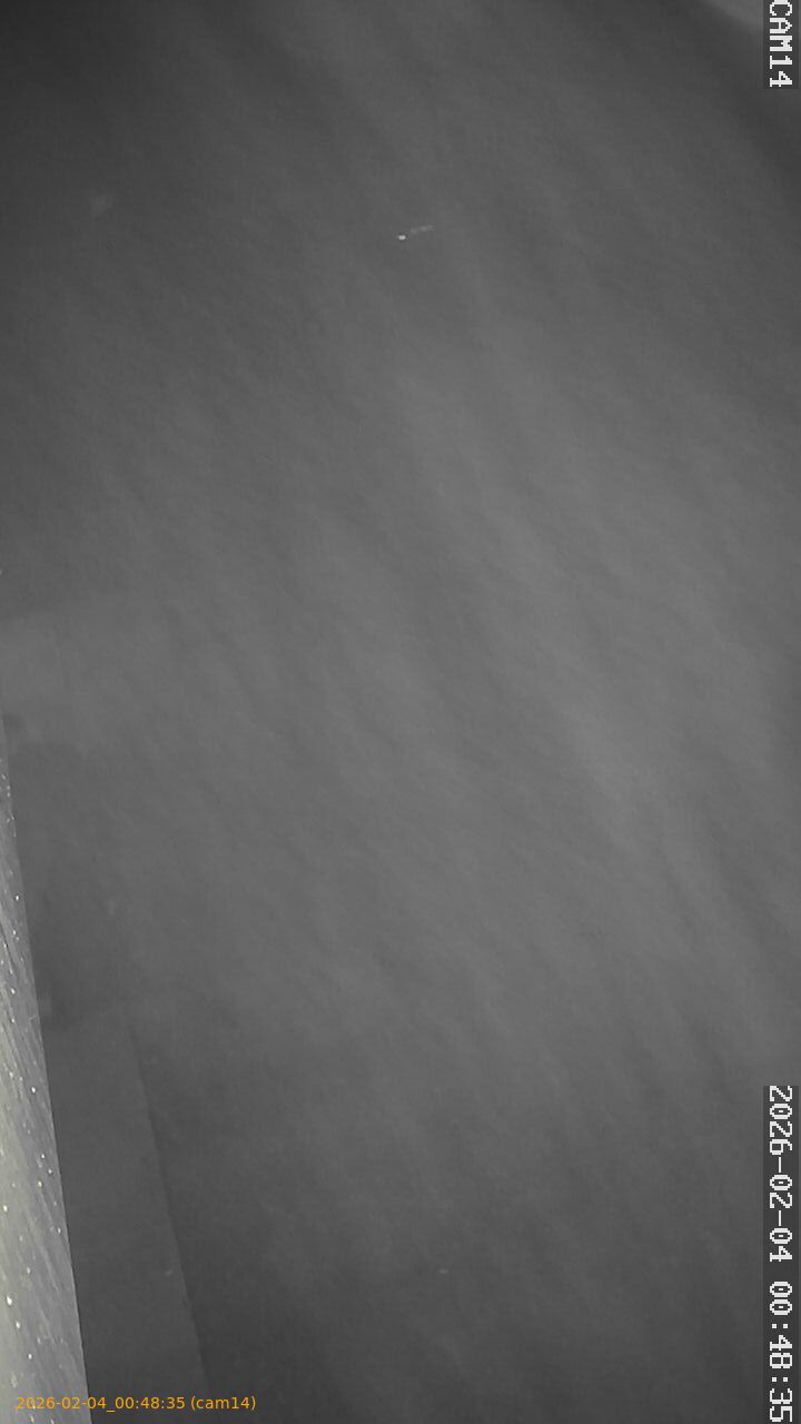 thumbnail_20260204004835