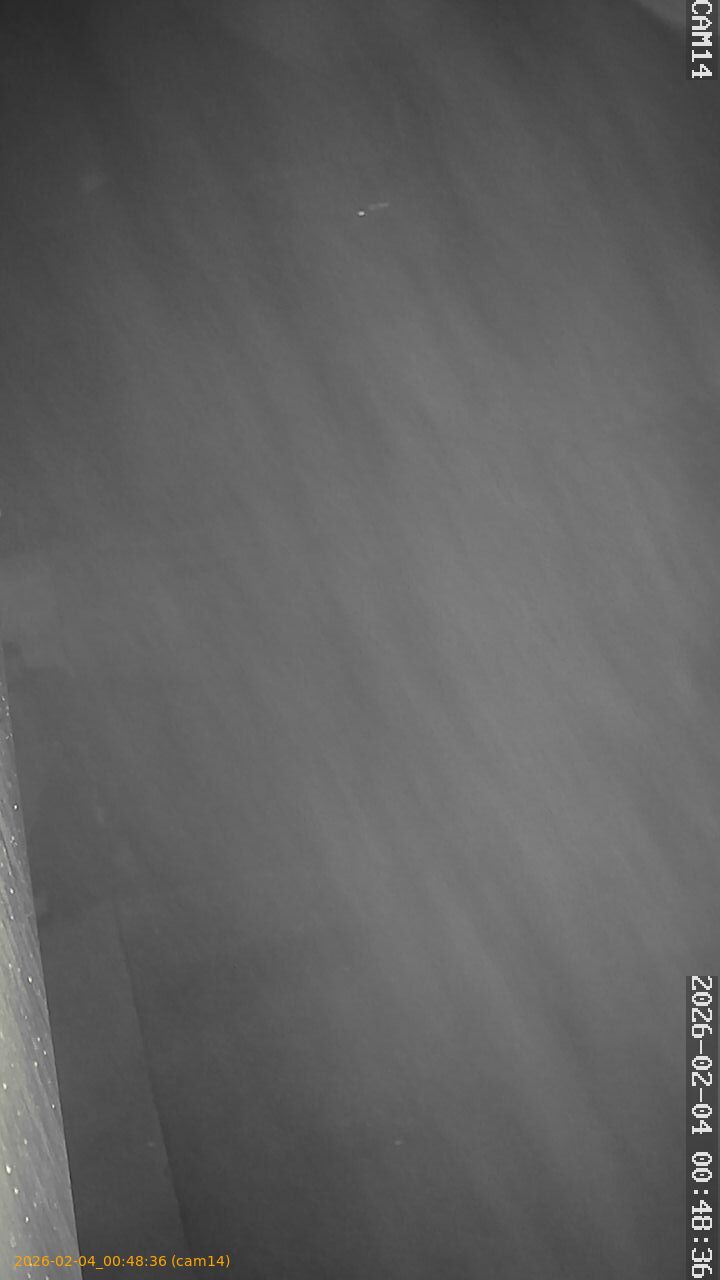 thumbnail_20260204004836