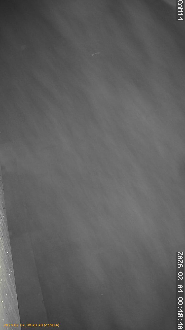 thumbnail_20260204004840