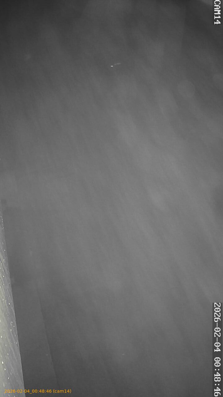 thumbnail_20260204004846