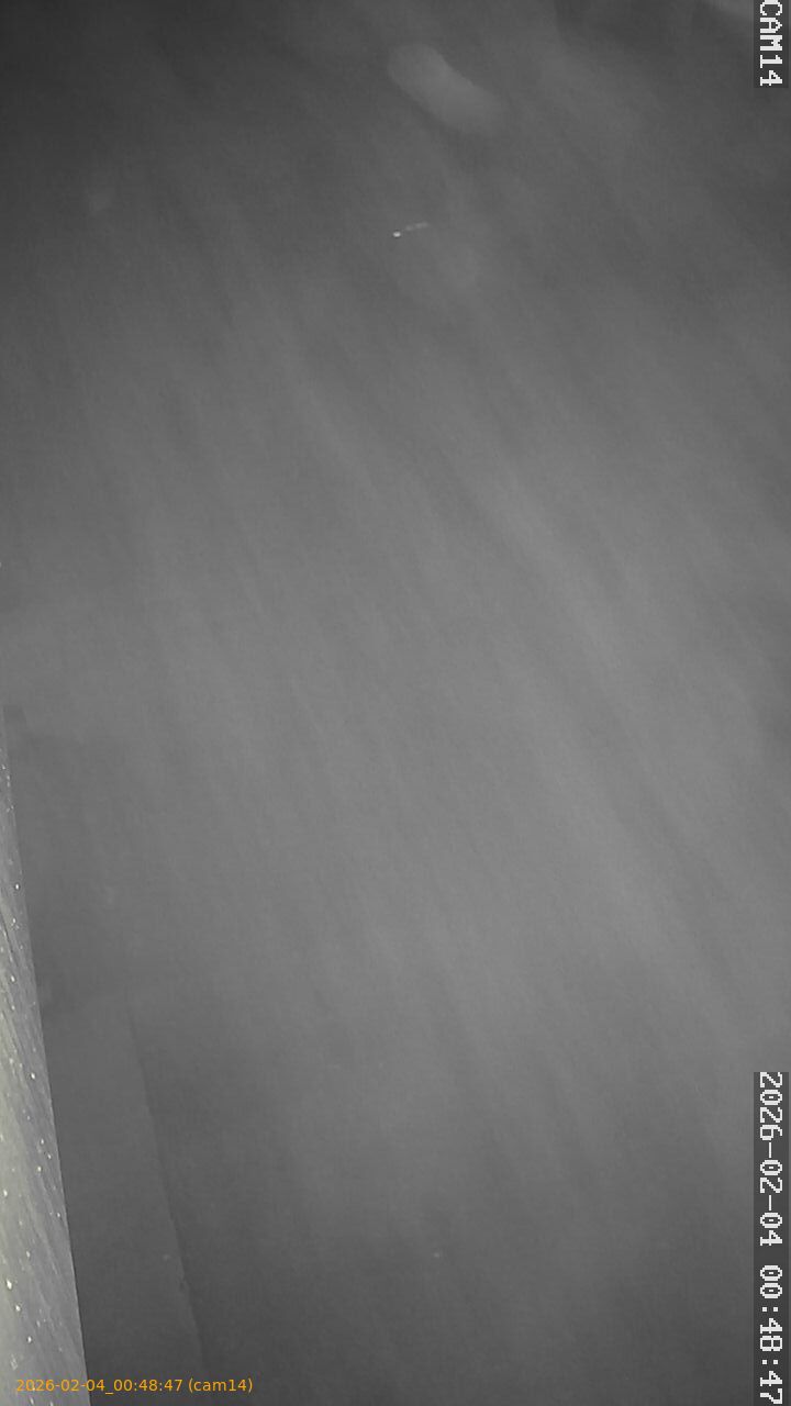 thumbnail_20260204004847