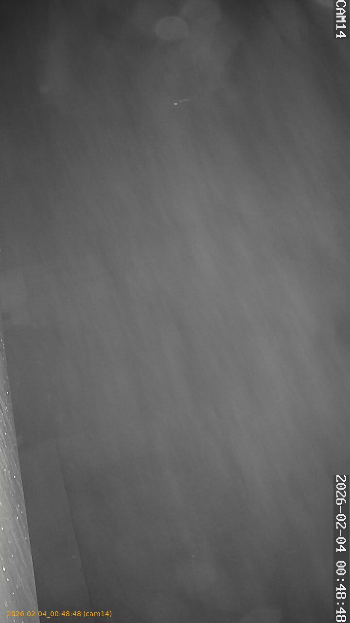 thumbnail_20260204004848