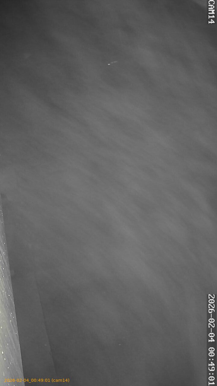 thumbnail_20260204004901