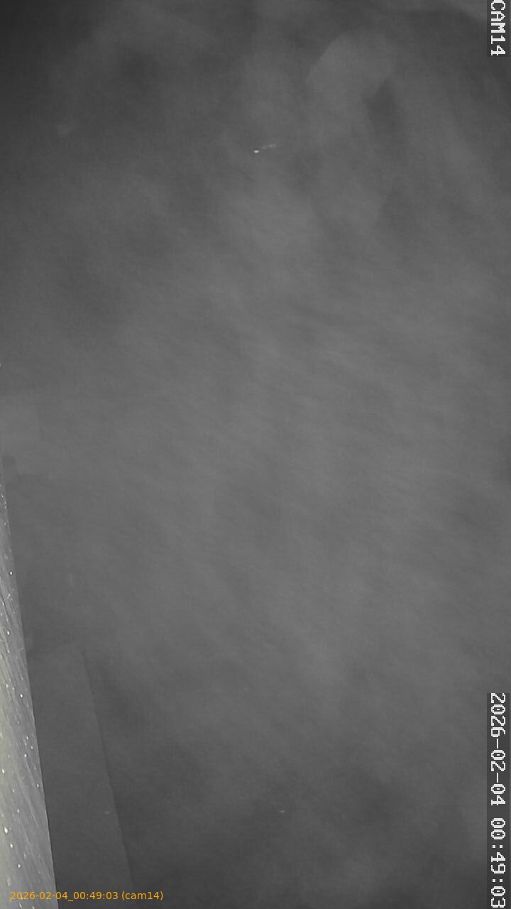 thumbnail_20260204004903