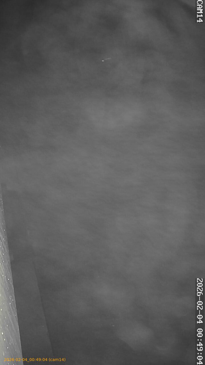 thumbnail_20260204004904