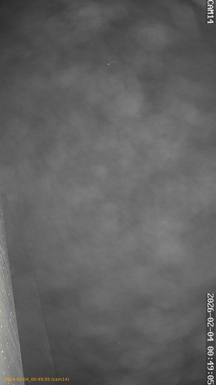 thumbnail_20260204004905