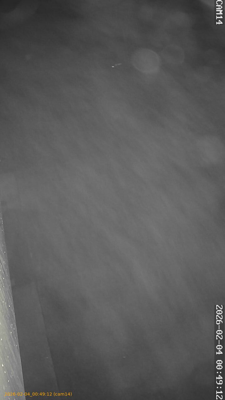 thumbnail_20260204004912