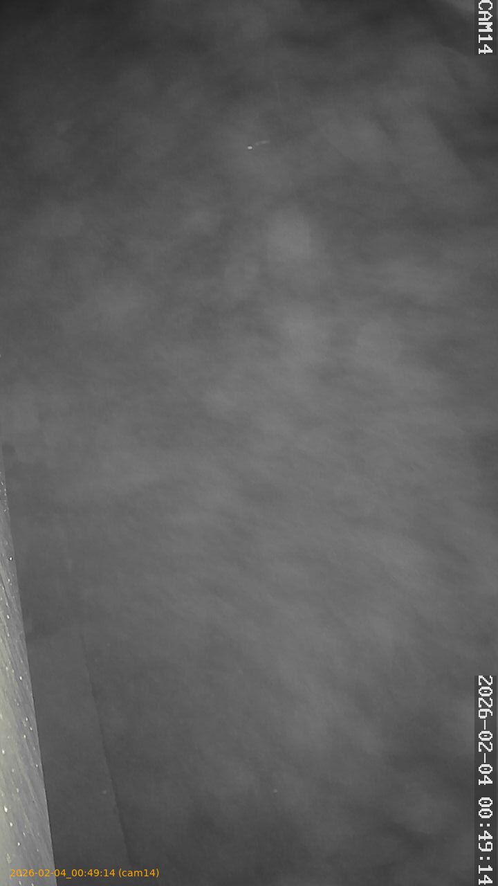 thumbnail_20260204004914