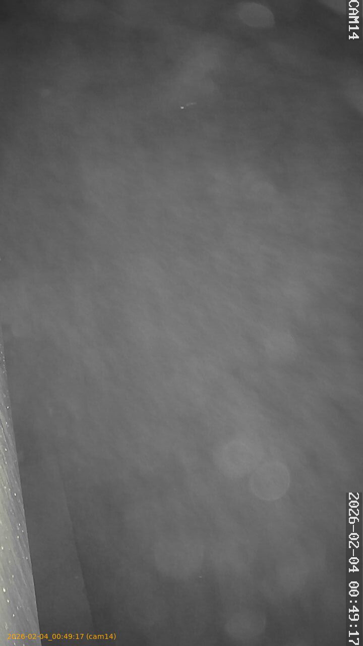 thumbnail_20260204004917