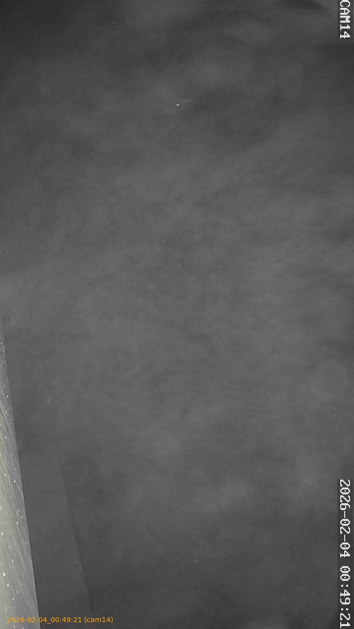 thumbnail_20260204004921