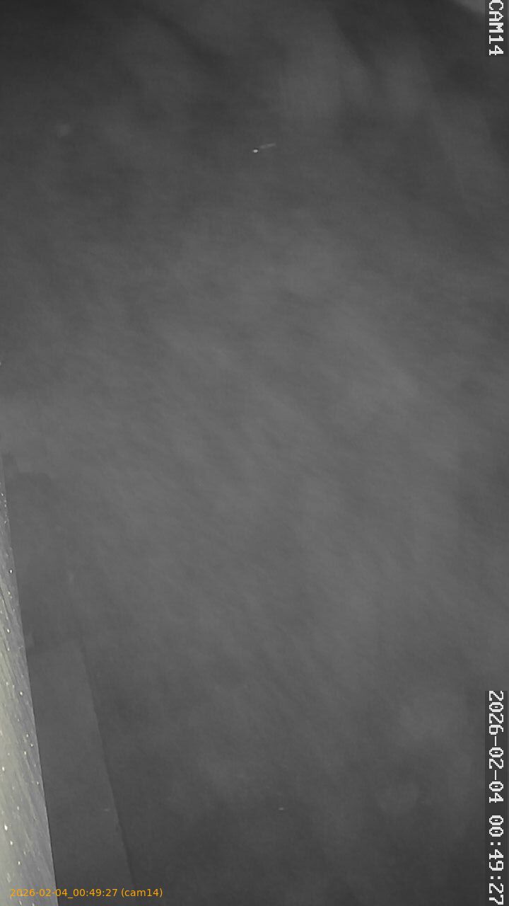 thumbnail_20260204004927