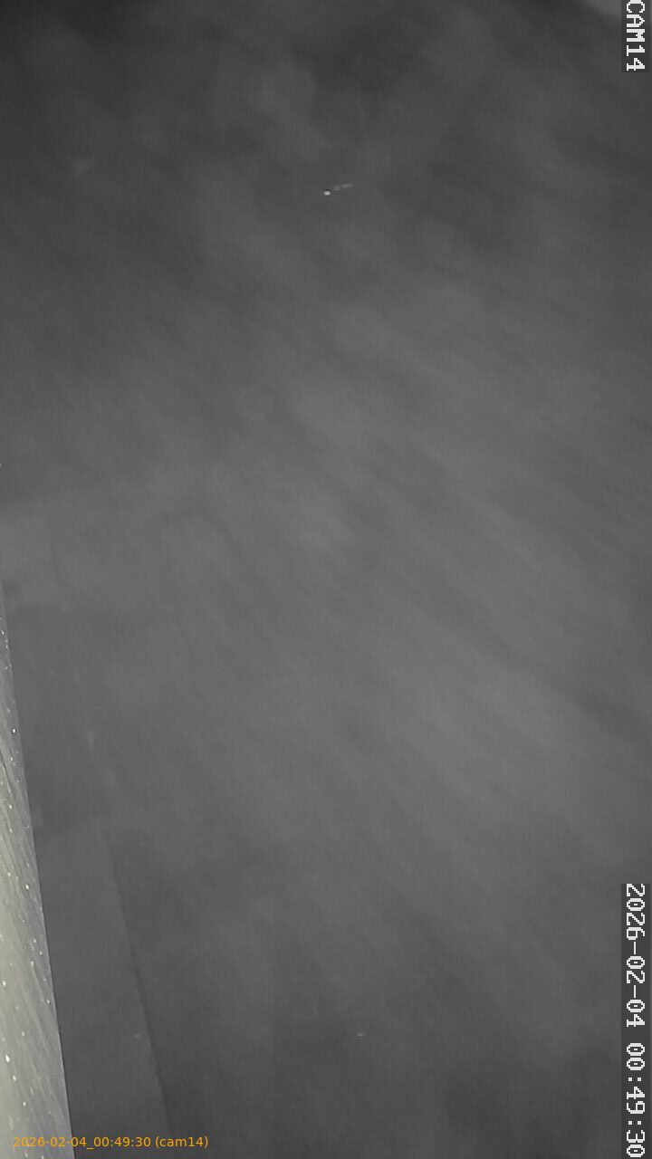 thumbnail_20260204004930