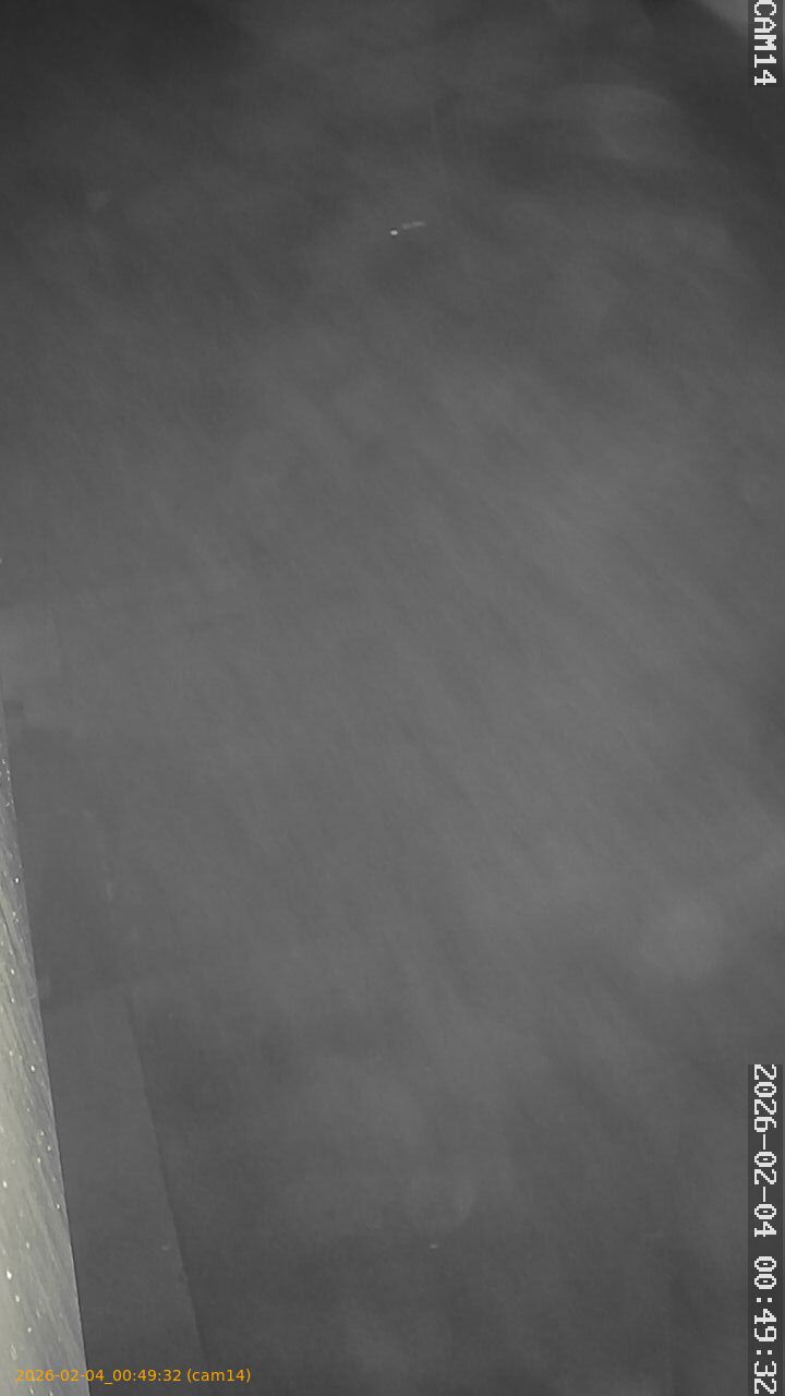 thumbnail_20260204004932