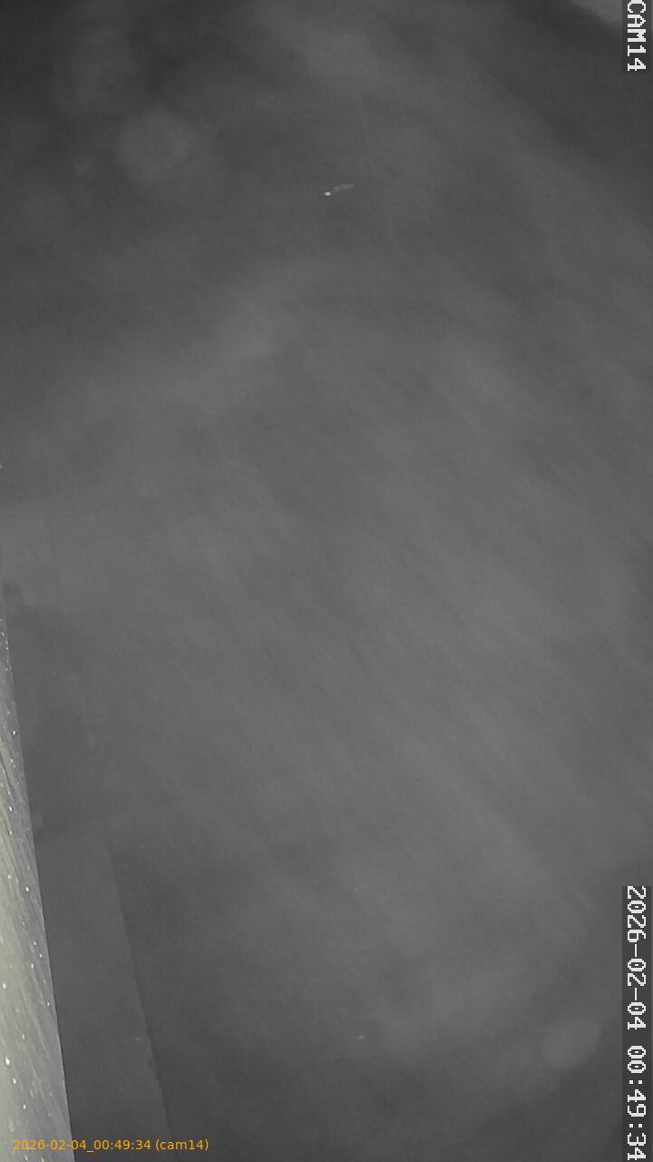 thumbnail_20260204004934