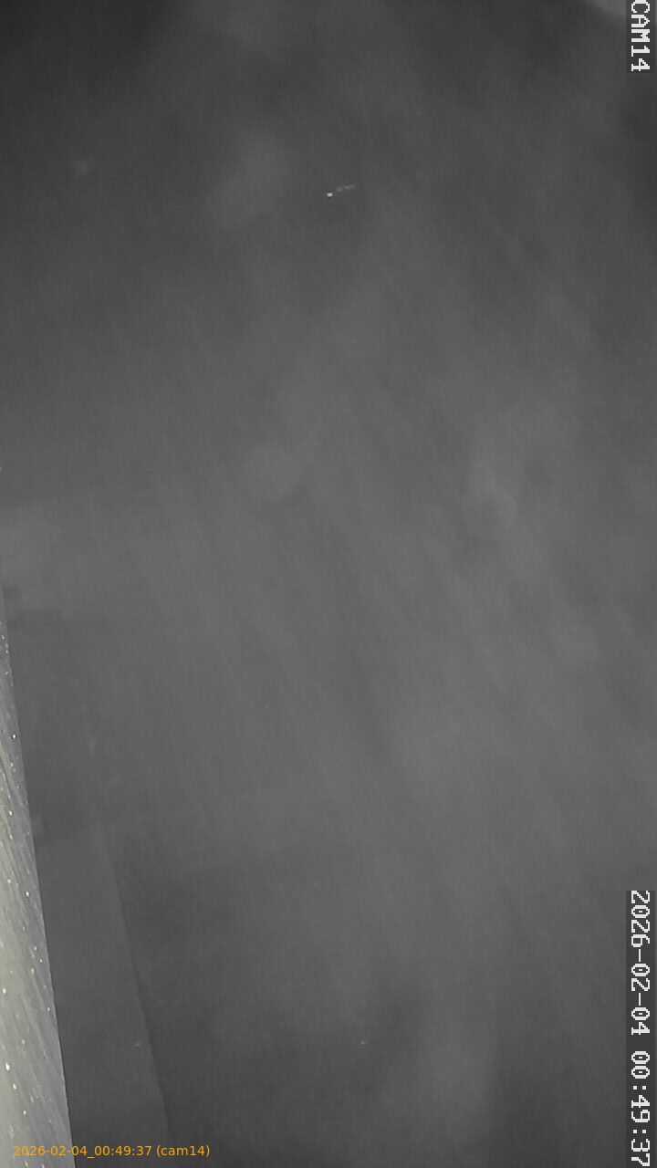 thumbnail_20260204004937