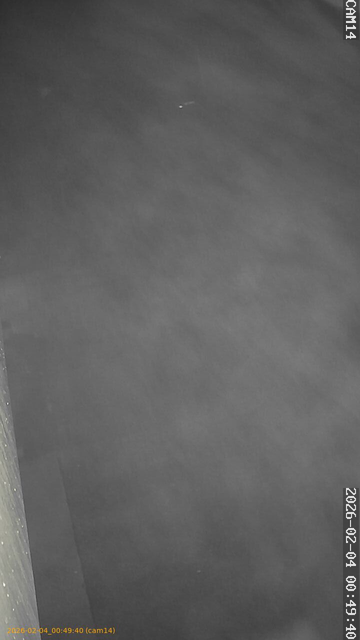 thumbnail_20260204004940