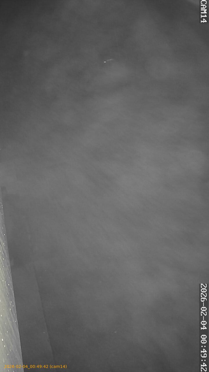 thumbnail_20260204004942