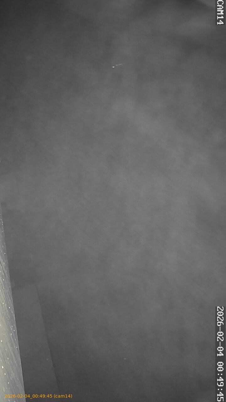 thumbnail_20260204004945