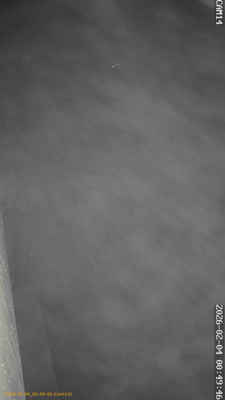 thumbnail_20260204004946