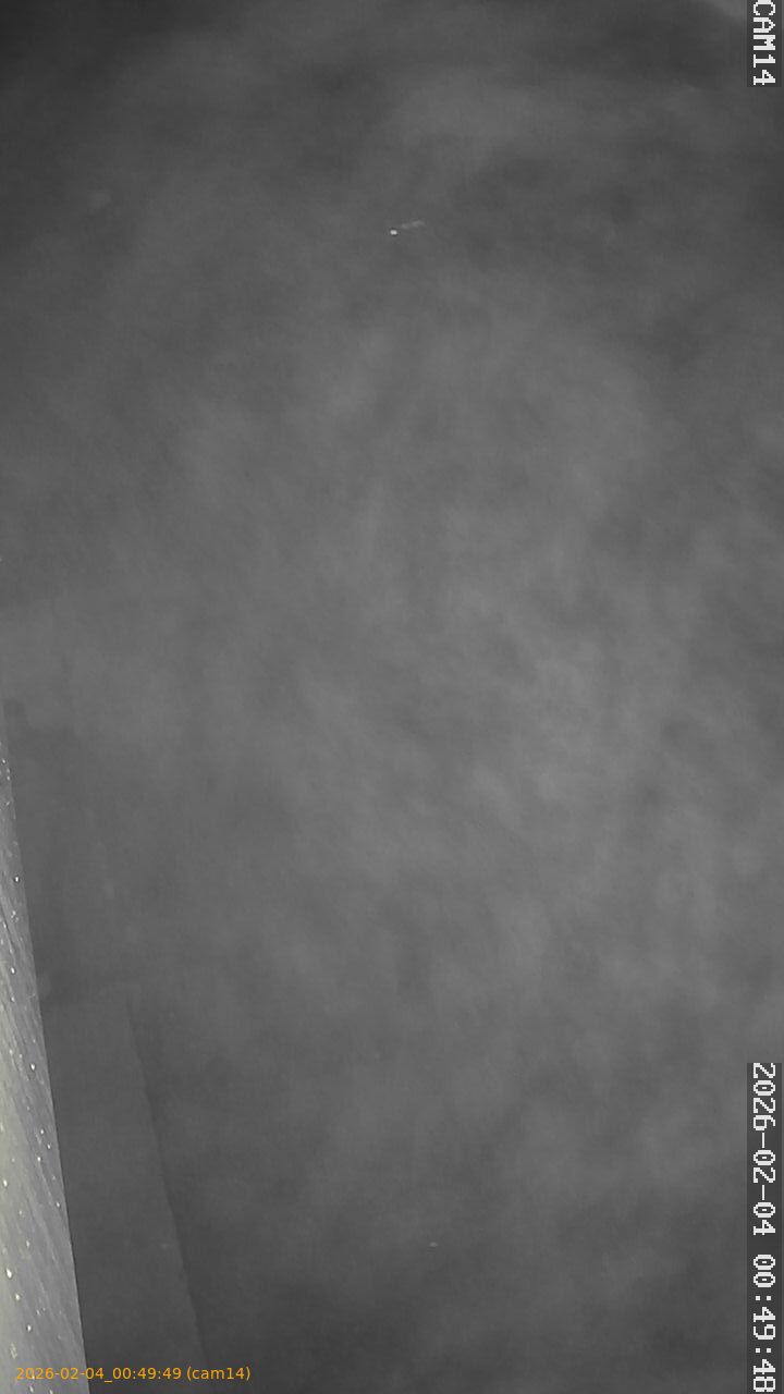 thumbnail_20260204004948